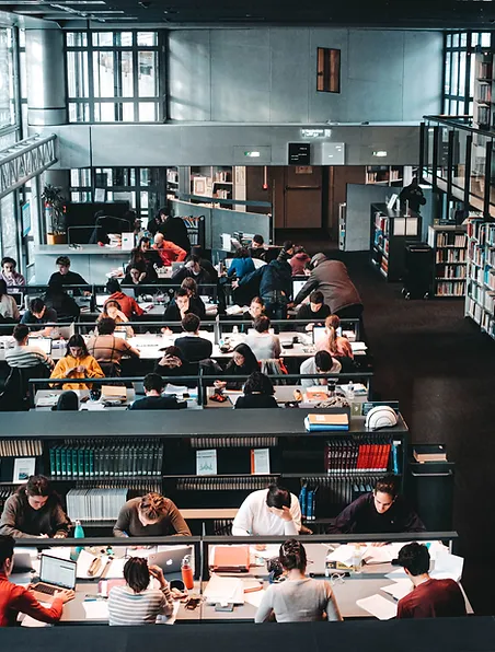 People sitting in a library, reading books and browsing bookshelves.